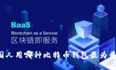 中国人用哪种比特币钱包