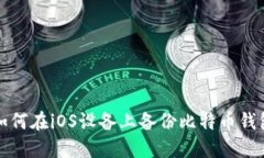 如何在iOS设备上备份比特