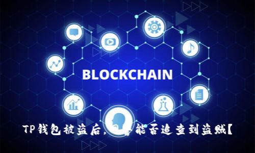 TP钱包被盗后，网警能否追查到盗贼？