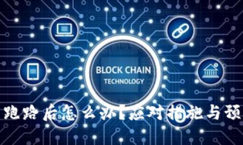 TP钱包跑路后怎么办？应对措施与预防建议