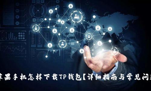 苹果手机怎样下载TP钱包？详细指南与常见问题