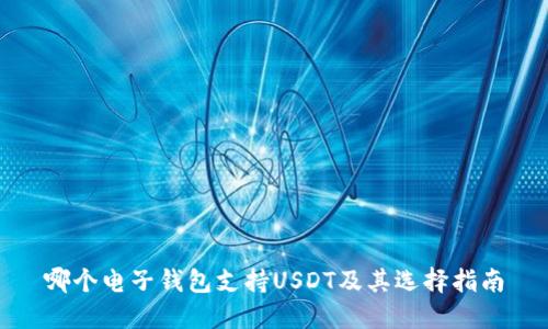 哪个电子钱包支持USDT及其选择指南