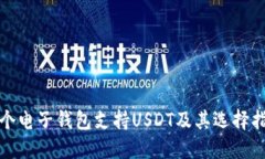 哪个电子钱包支持USDT及其选择指南
