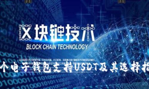 哪个电子钱包支持USDT及其选择指南