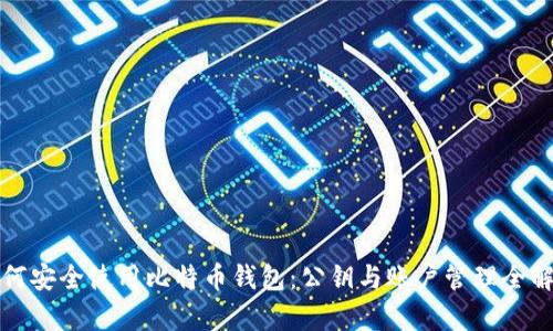 如何安全使用比特币钱包：公钥与账户管理全解析