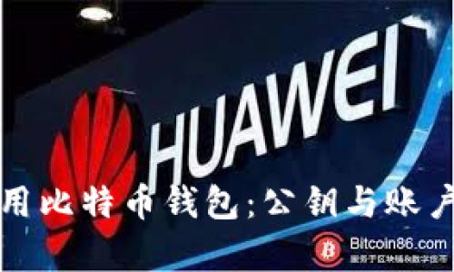 如何安全使用比特币钱包：公钥与账户管理全解析