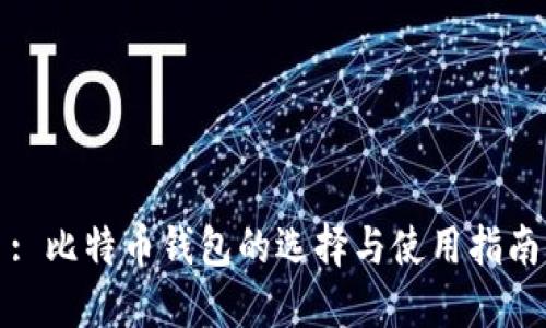: 比特币钱包的选择与使用指南