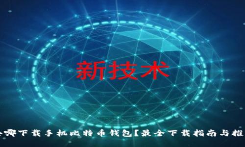 去哪下载手机比特币钱包？最全下载指南与推荐