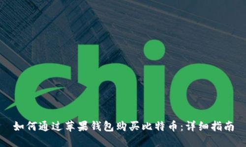 如何通过苹果钱包购买比特币：详细指南