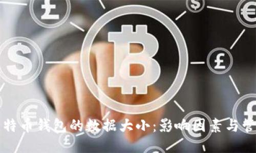 本地比特币钱包的数据大小：影响因素与管理技巧
