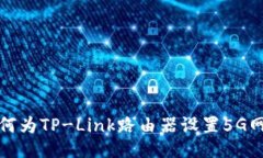 如何为TP-Link路由器设置