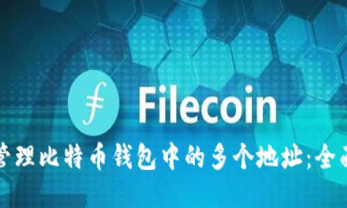 如何管理比特币钱包中的多个地址：全面指南
