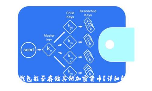 比特币钱包能否存储其他加密货币？详细解析与建议