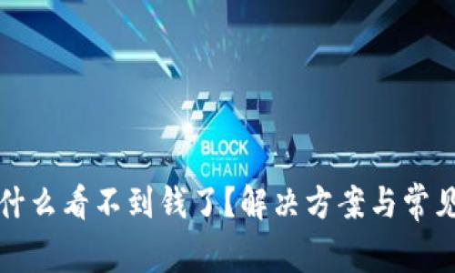 TP钱包为什么看不到钱了？解决方案与常见问题分析