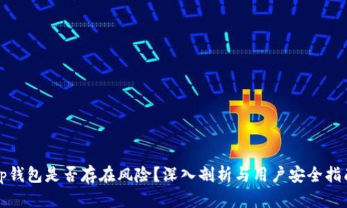 tp钱包是否存在风险？深入剖析与用户安全指南