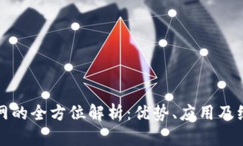 : TP管网的全方位解析：优势、应用及维护指南