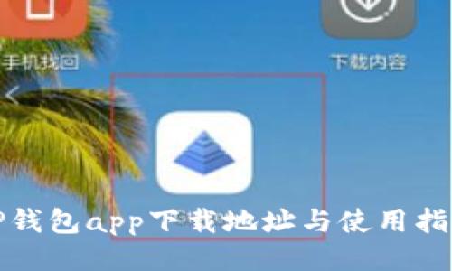 TP钱包app下载地址与使用指南