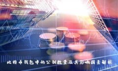 比特币钱包中的公钥数量