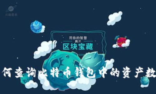如何查询比特币钱包中的资产数量