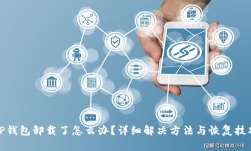 TP钱包卸载了怎么办？详细解决方法与恢复技巧