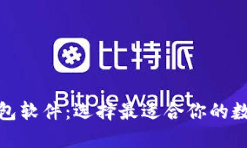 安全的比特币钱包软件：选择最适合你的数字资产保护工具