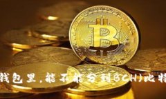比特币在钱包里，能不能