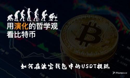 如何在波宝钱包中的USDT提现