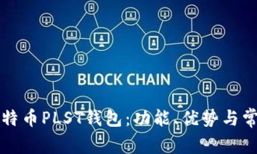 如何使用比特币PLST钱包：功能、优势与常见问题解析
