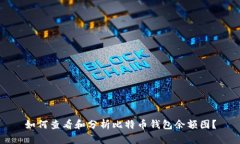 如何查看和分析比特币钱