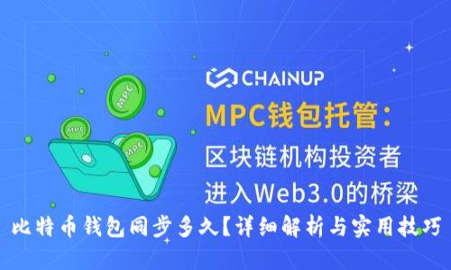 比特币钱包同步多久？详细解析与实用技巧