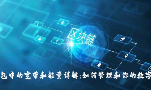 TP钱包中的宽带和能量详解：如何管理和你的数字资产