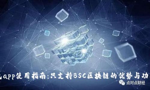 TP钱包app使用指南：只支持BSC区块链的优势与功能介绍
