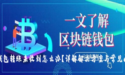 tp钱包转账未收到怎么办？详解解决方案与常见问题