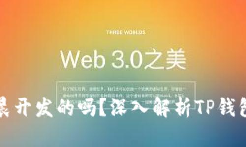 TP钱包是孙宇晨开发的吗？深入解析TP钱包的背景与发展