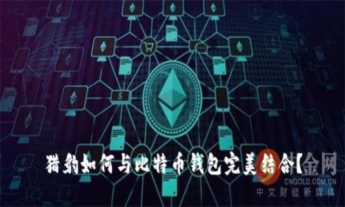 猎豹如何与比特币钱包完美结合？