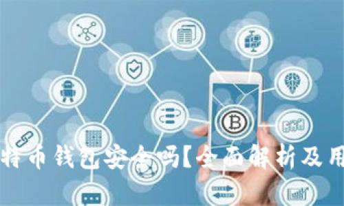 实体比特币钱包安全吗？全面解析及用户指南