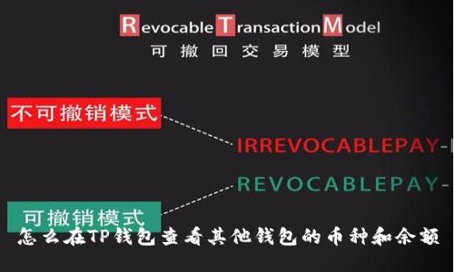 怎么在TP钱包查看其他钱包的币种和余额