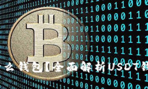USDT可以用什么钱包？全面解析USDT钱包类型与推荐