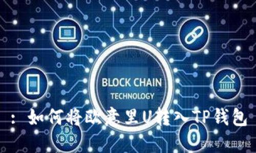 : 如何将欧意里U转入TP钱包