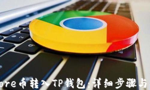 
如何将Core币转入TP钱包：详细步骤与操作指南