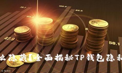 TP钱包怎么隐藏？全面揭秘TP钱包隐私保护技巧