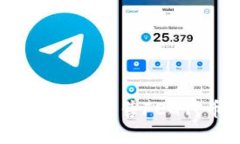 : 如何在TP钱包中出售FEG代