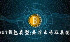 探索USDT钱包类型：是什么