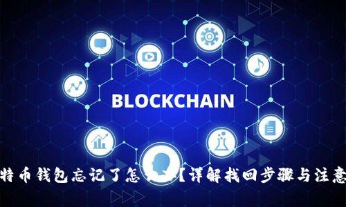 : 比特币钱包忘记了怎么办？详解找回步骤与注意事项