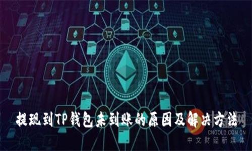 提现到TP钱包未到账的原因及解决方法