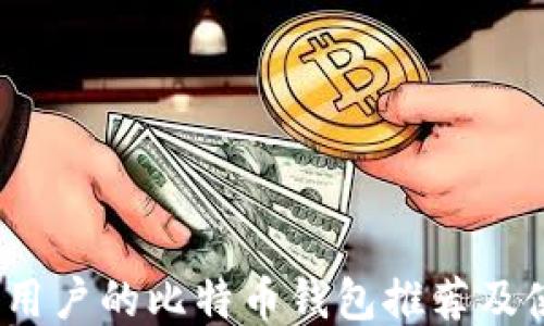 
适合iOS用户的比特币钱包推荐及使用指南